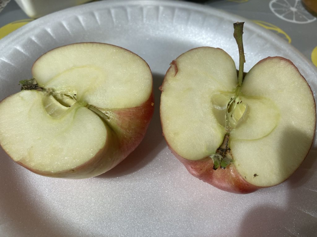 Apple Nachos - Cut apple half